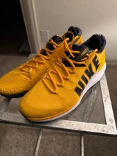 Nike Court Air Zoom Zero Clay